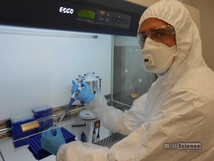 Our colleague is working in the BLS3 Laboratory