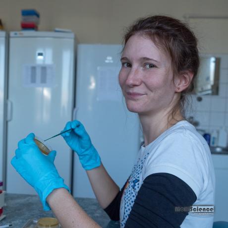 Katinka Bekő DVM, PhD