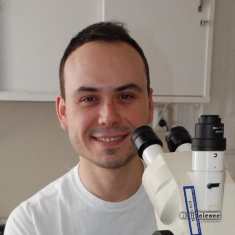 Dénes Grózner MSc, PhD